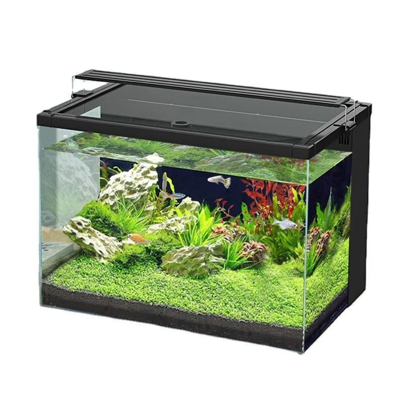 

Ecological desktop aquatic grass landscape home ornamental fish ultra-white glass small living room supper white glass tank