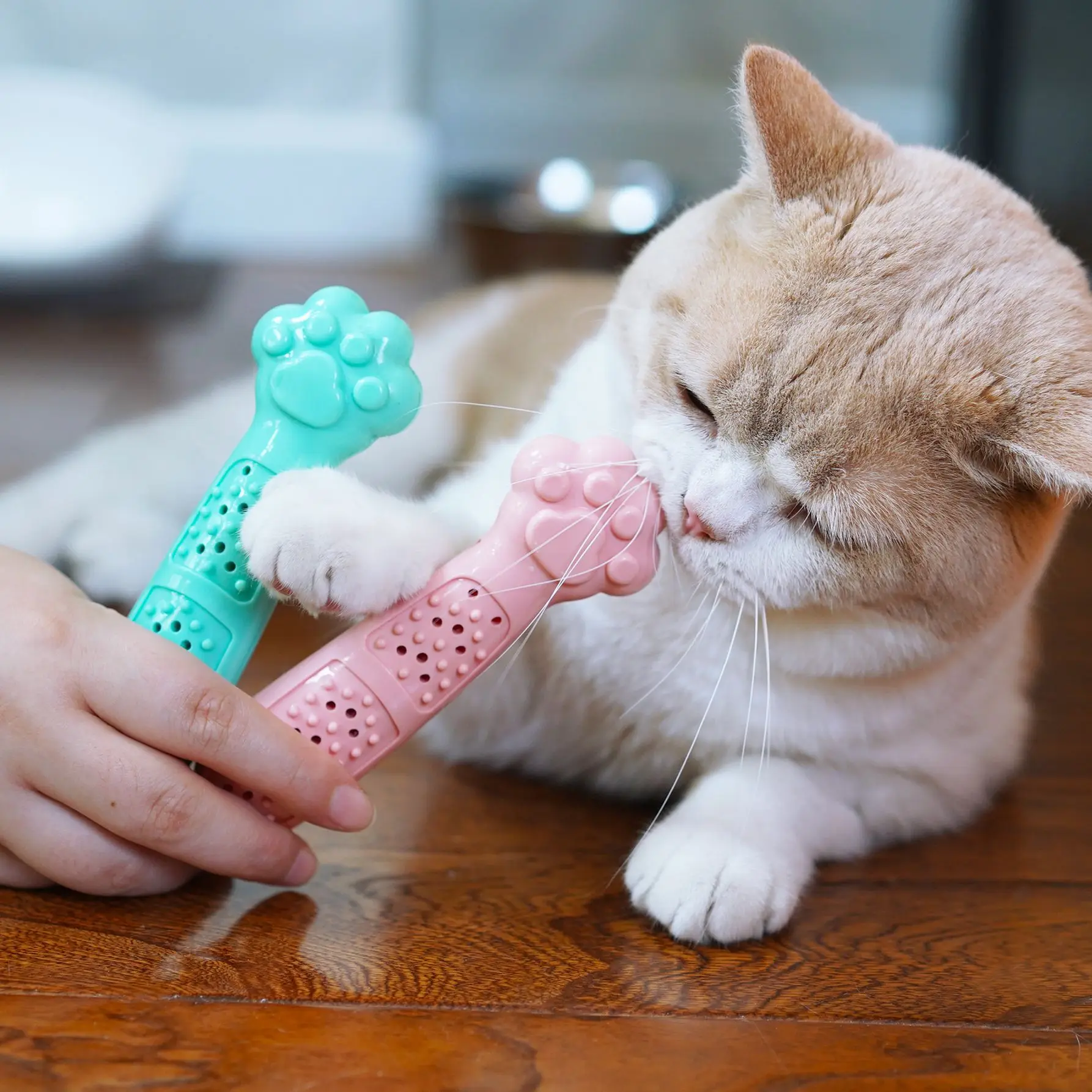 Original Pet Cat Mint Toy Claw Cat Toothbrush Scratching Teeth Massage Cleansing Bite Cross-border Pet Supplies Cat scratch Bugs