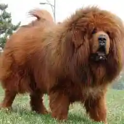 For Mjx Hyper Go 10… - image