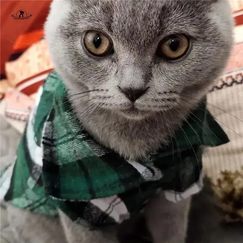 Plaid Cat Clothes for Cats Sphinx Pet Clothing for Small Cats Dogs Cat Costumes Soft Kitten Kitty Coat Jacket Puppy Outfit York