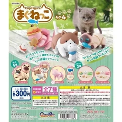 Gashapon Capsule Toys Cute Cat Dolls Joints Movable Mini Figurine Table Ornaments Children Birthday Gifts Figure Accessories