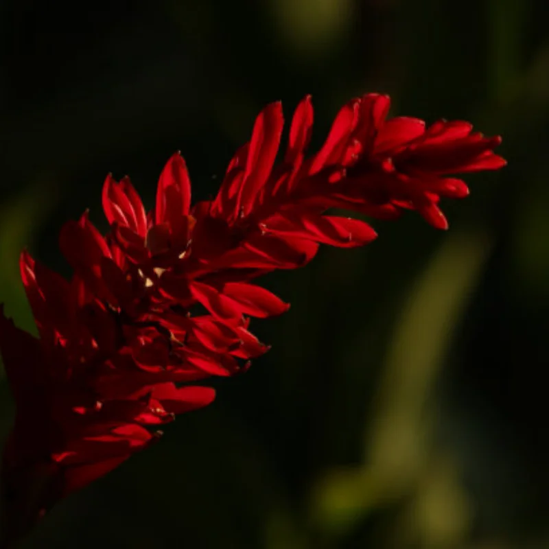 

MJX 10208 V1 1/10 RC Автомобиль Металлическое обновление Усиленные передние и задние приводные валы