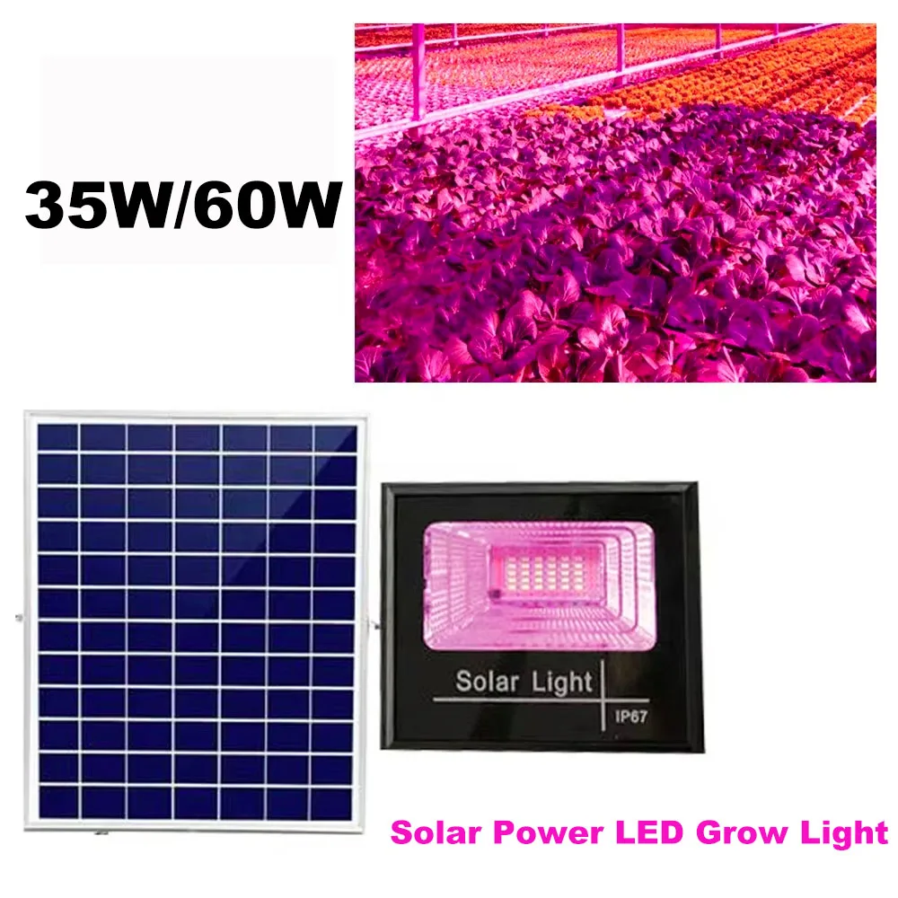 

Nice Solar Floodlight Plant Growing Light Waterproof Phytolamp Flower Seedling 35W 60W Full Spectrum LED Solar Powered Grow Ligh