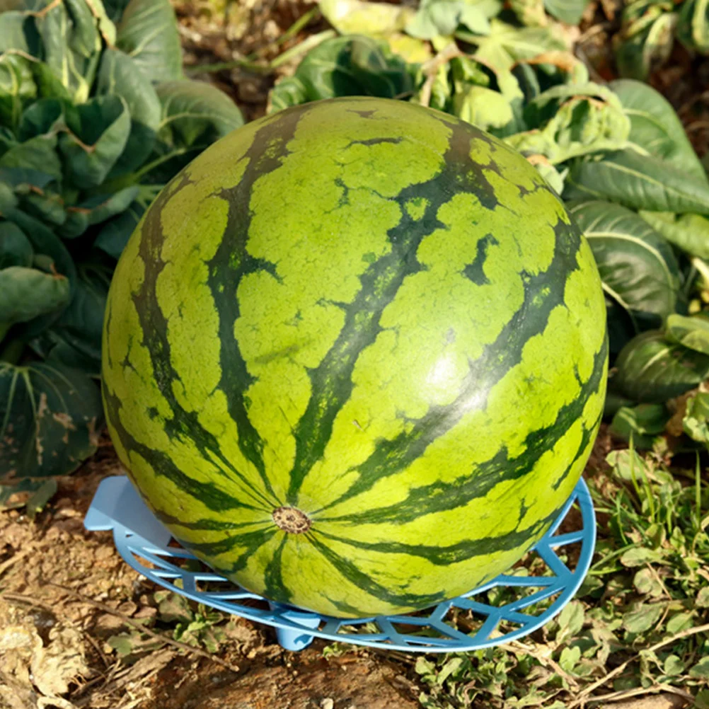 

3pcs Rotten-ProofTray Melon Cradles Watermelon Support Stand Garden Trellis Stakes Durable Hollow Design Air for Plantation