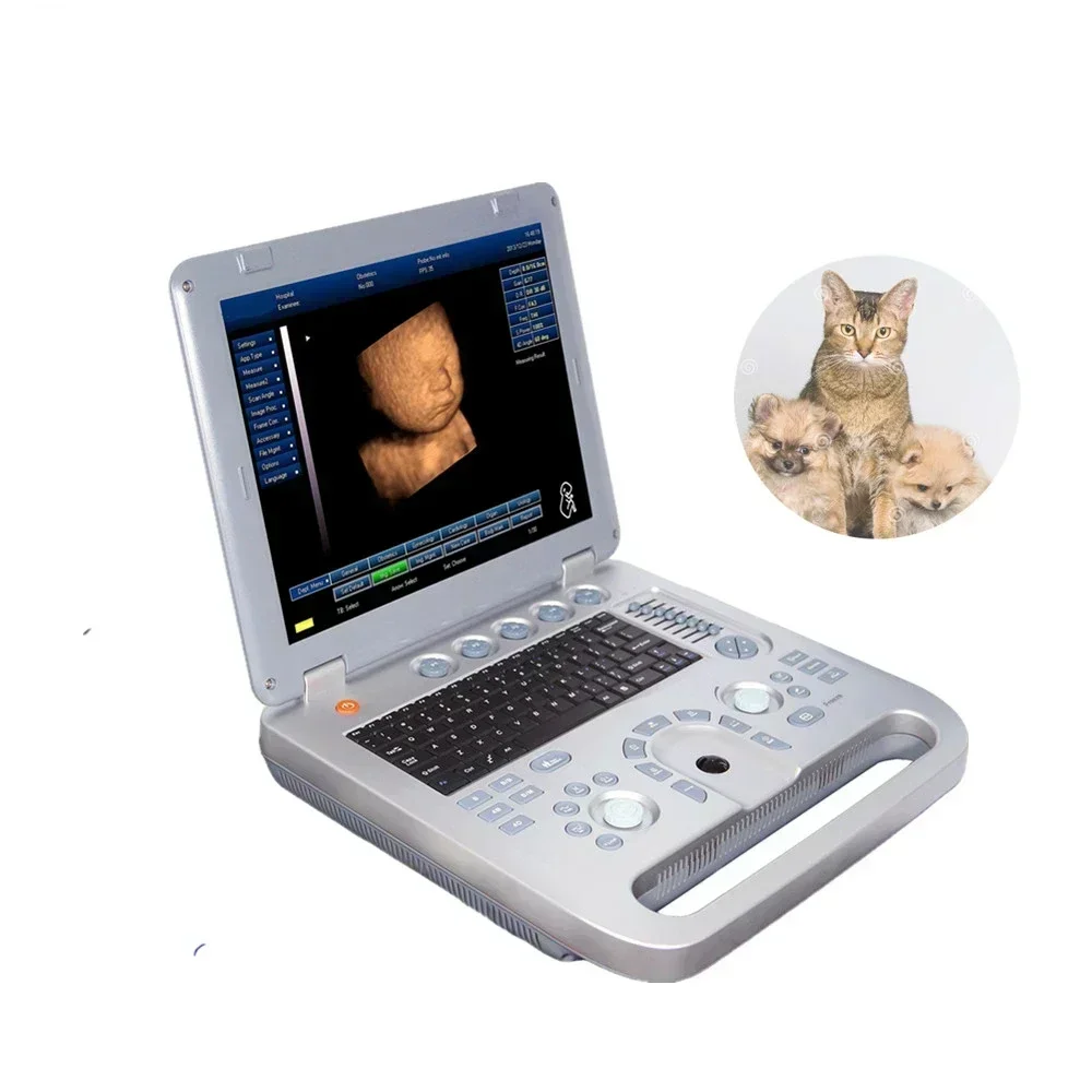 

Latest design sunbright SUN-800D ultrasound machine veterinary portable ultrasound price