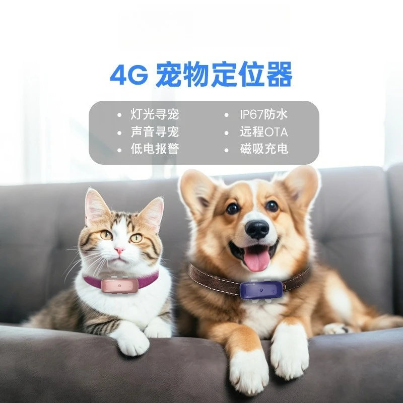 

4G waterproof pet locator, wireless dog anti-lost tracker, cat lost gps Beidou tracker pet gps collar gps tracker
