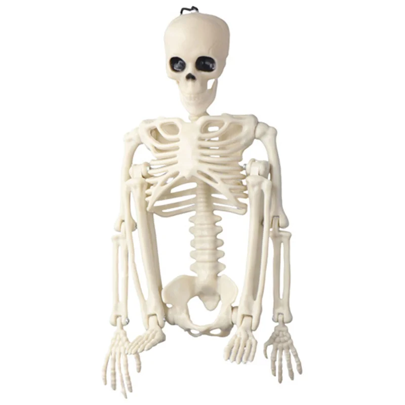 Posable Skeleton Halloween Decor Scary Man Bone Creepy Party Decoration