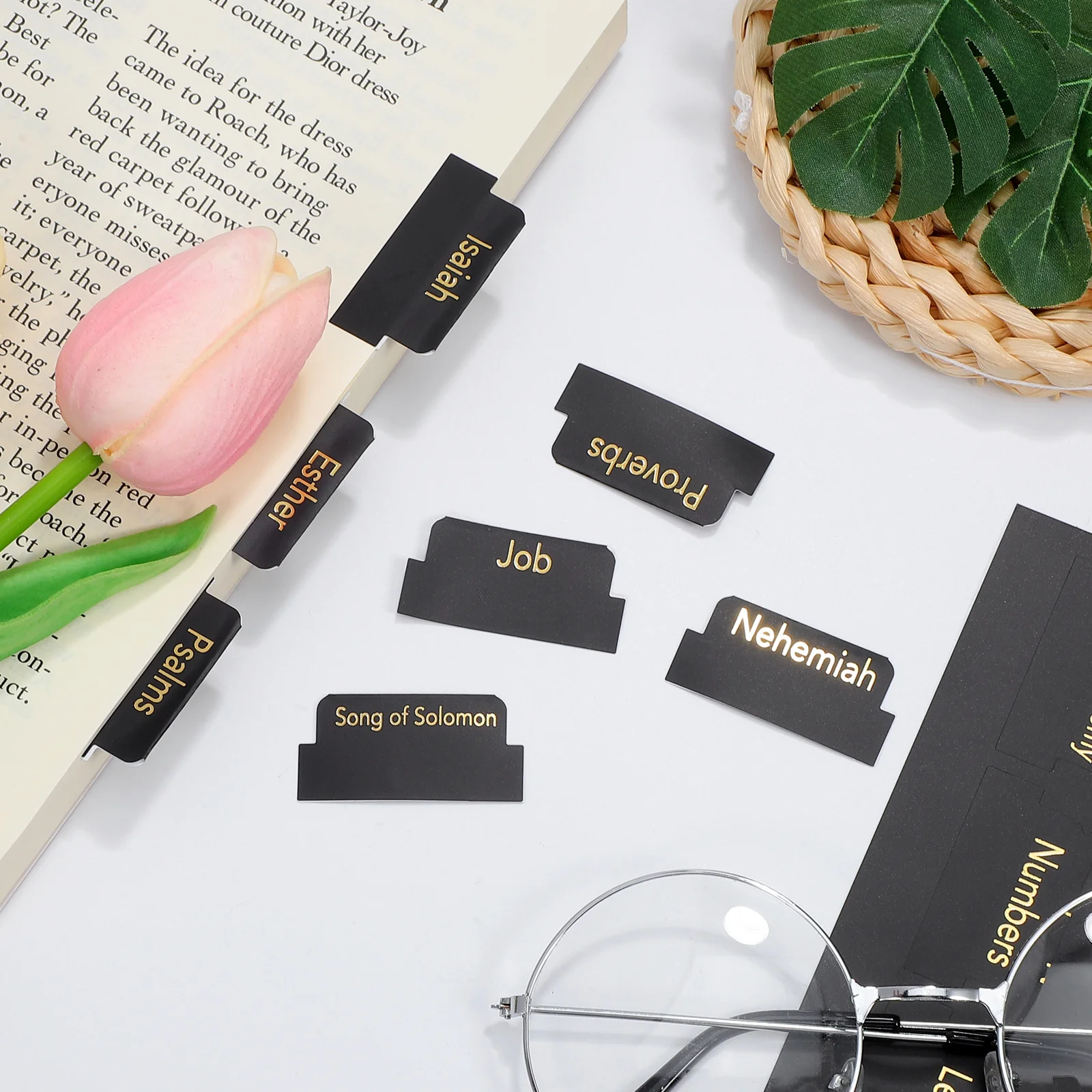 

5 Sheets Bible Index Tabs Book Tabs Adhesive Bible Study Supplies Clear Font Section Markers Book Accessories