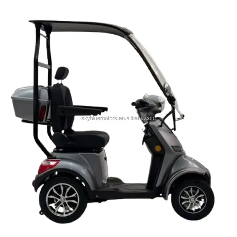 Super Value Electric Mobility Scooter Model Beetle with Canopy Roof for the Elder
