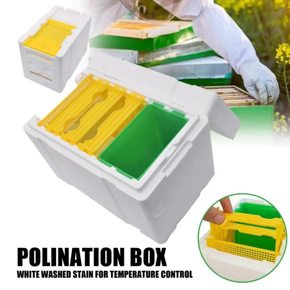 1 Set Queen Bee Mating Nuc Box, Plastic Beekeeping Rearing Box for Queen Bee Mating & Rearing