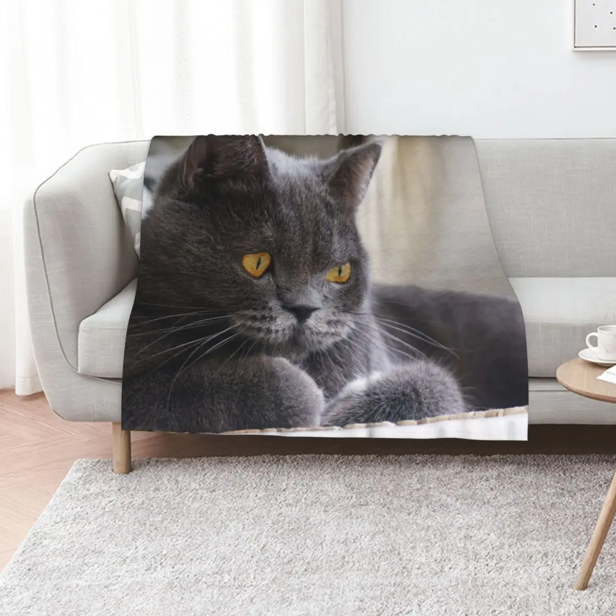 

British Shorthair Cat Throw Blanket decorative Picnic Soft Big Soft Blankets