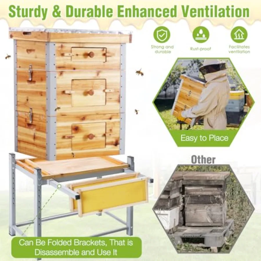 خلية نحل لانجستروث مكونة من 10 إطارات مع إطار معدني وحامل مغموس في 100 شمع عسل للزراعة المنفوخة وإنتاج العسل تتضمن Wo