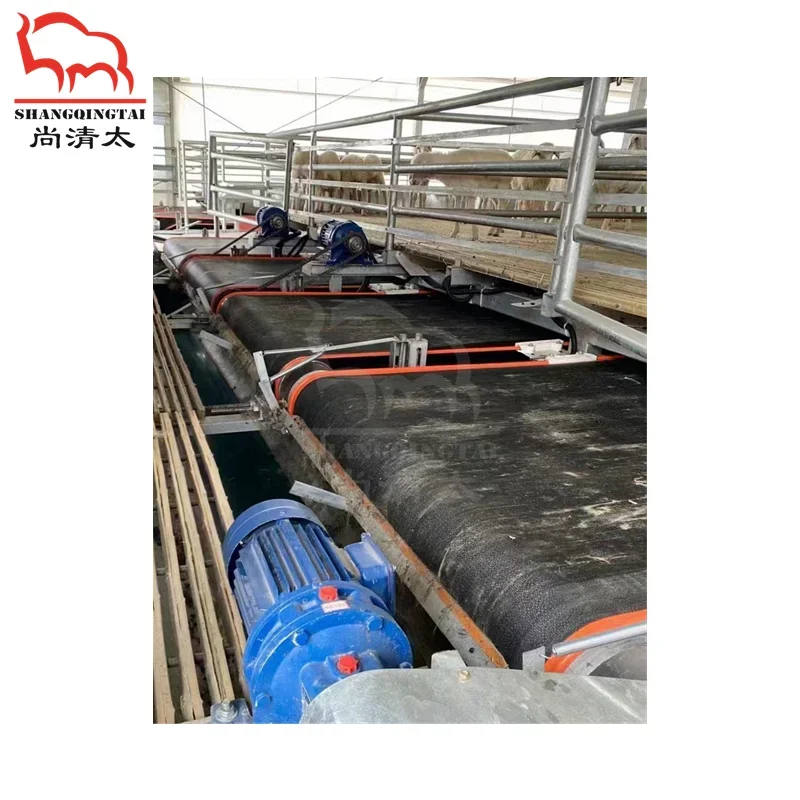 conveyor belt defecation for sheep full automatic goat manure cleaning equipment goat farming livestock equipment wholesale