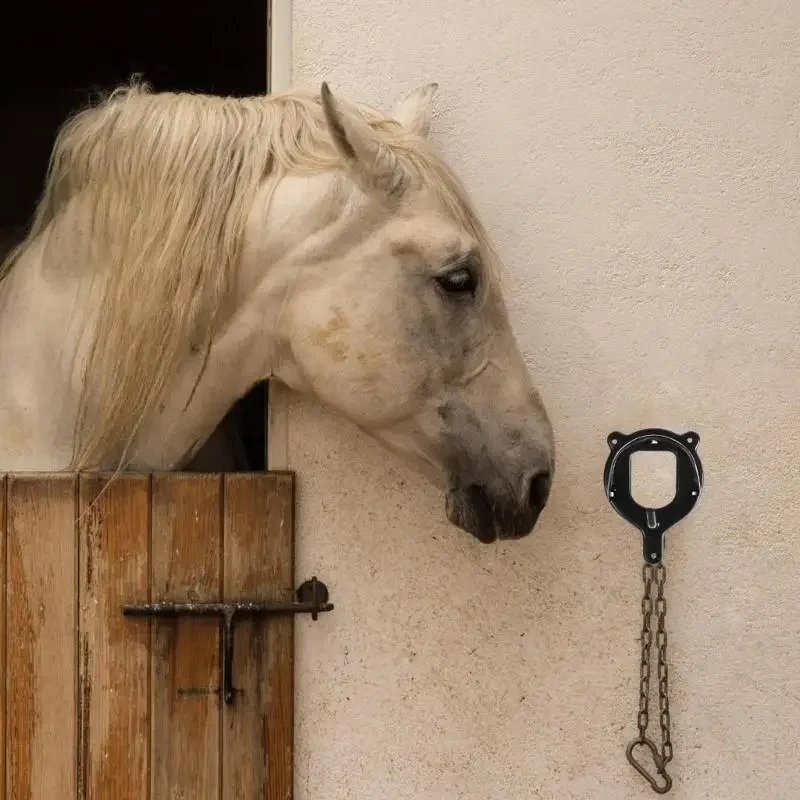 11XF الحصان Bridle الرف حامل الرسن المعدني المستقر السنانير حامل اللجام المحمولة