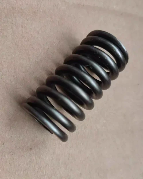 

the valve springs of Benelli TNT300 BN302 302S 302R TNT600 BN600