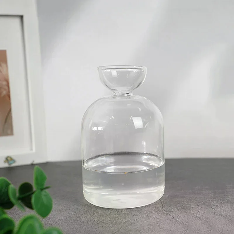 Kit for Avocado Seed Starter Vase Transparent Glass Growing Plant Gardening Lovers For Home And Professional Use