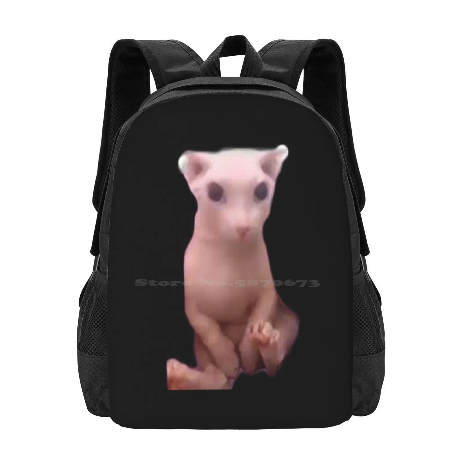 

Bingus School Bags For Teenage Girls Laptop Travel Bags Bingus Meme Hairless Cat Meme Funny Cat