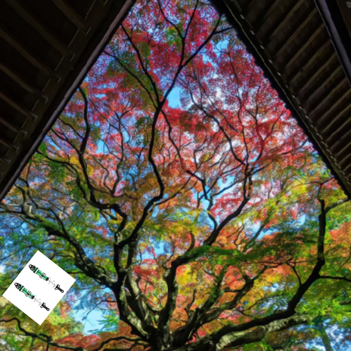 

GPM LOSI 1/6 8IGHT-X Super Lasernut LOS04019 Задние двухсекционные пружинные демпферы из сплава