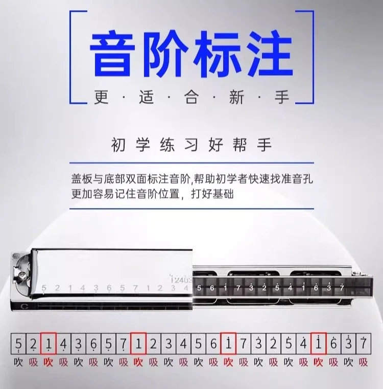 24-hole polyphonic harmonica student C key adult practice beginner harmonica performance major