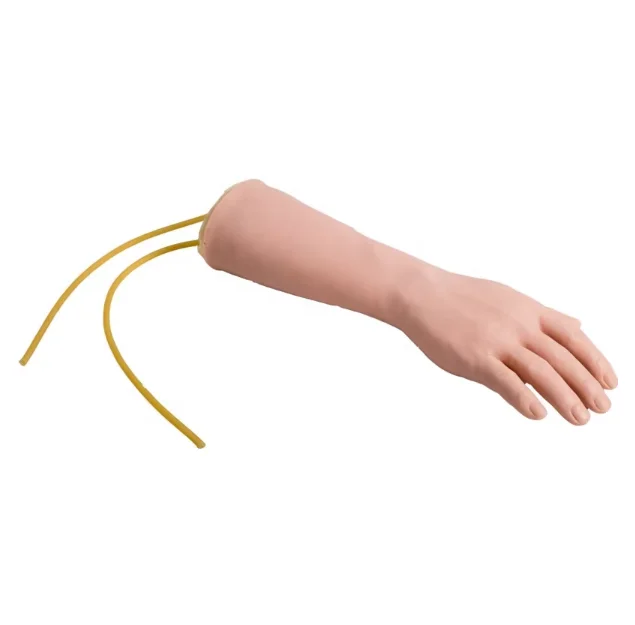 GD/HS5M High Quality PVC Hand    Simulator Manikin Medical Science Hand Training Model for Schools and Hospitals