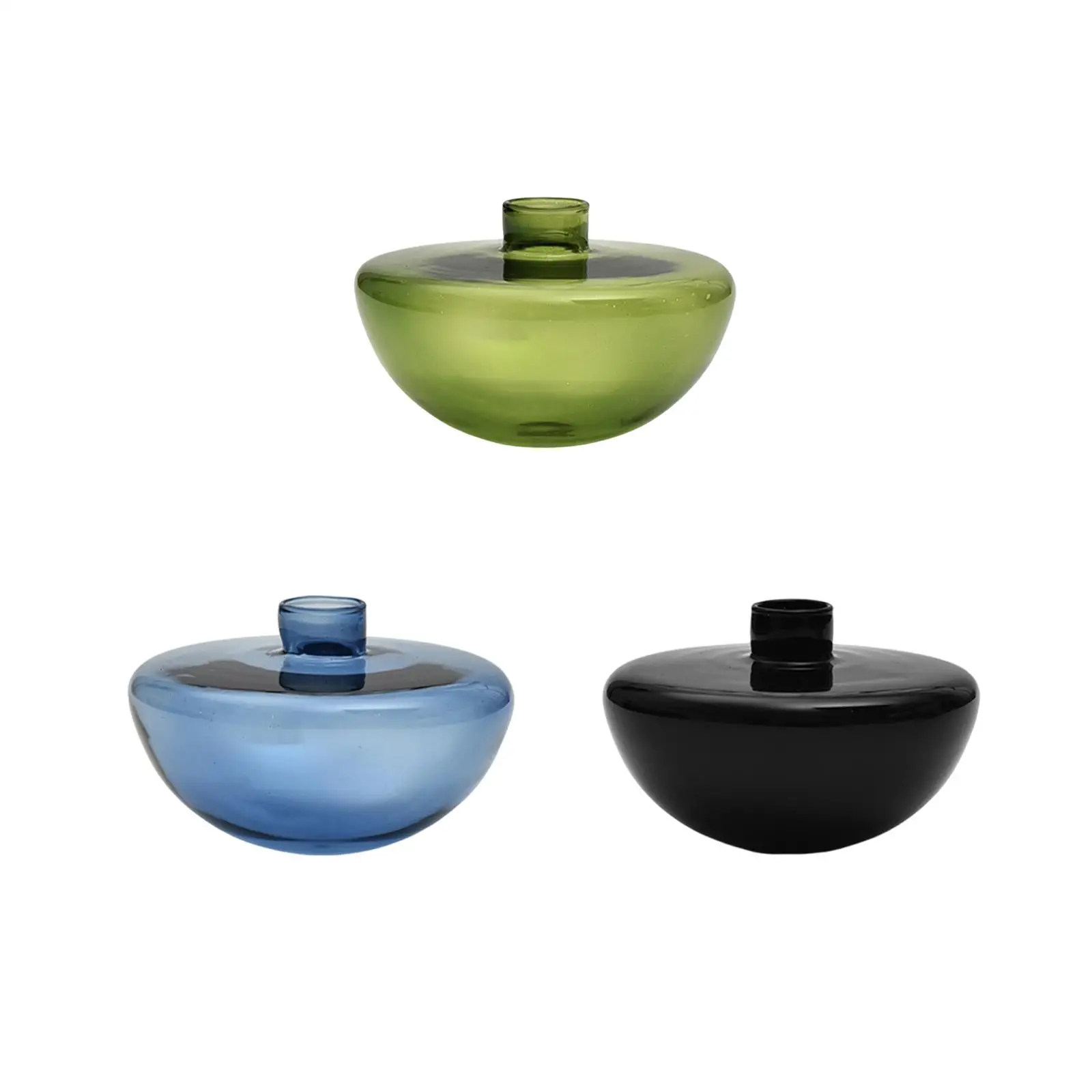 Glass Flower Vase Flowerpot Hydroponic Vase for Living Room Indoor Farmhouse