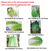 Double-Sided Flannel Cabbage Pattern Home Sofa Blanket Soft Creative Design Warm Throw Blanket for Living Room 6