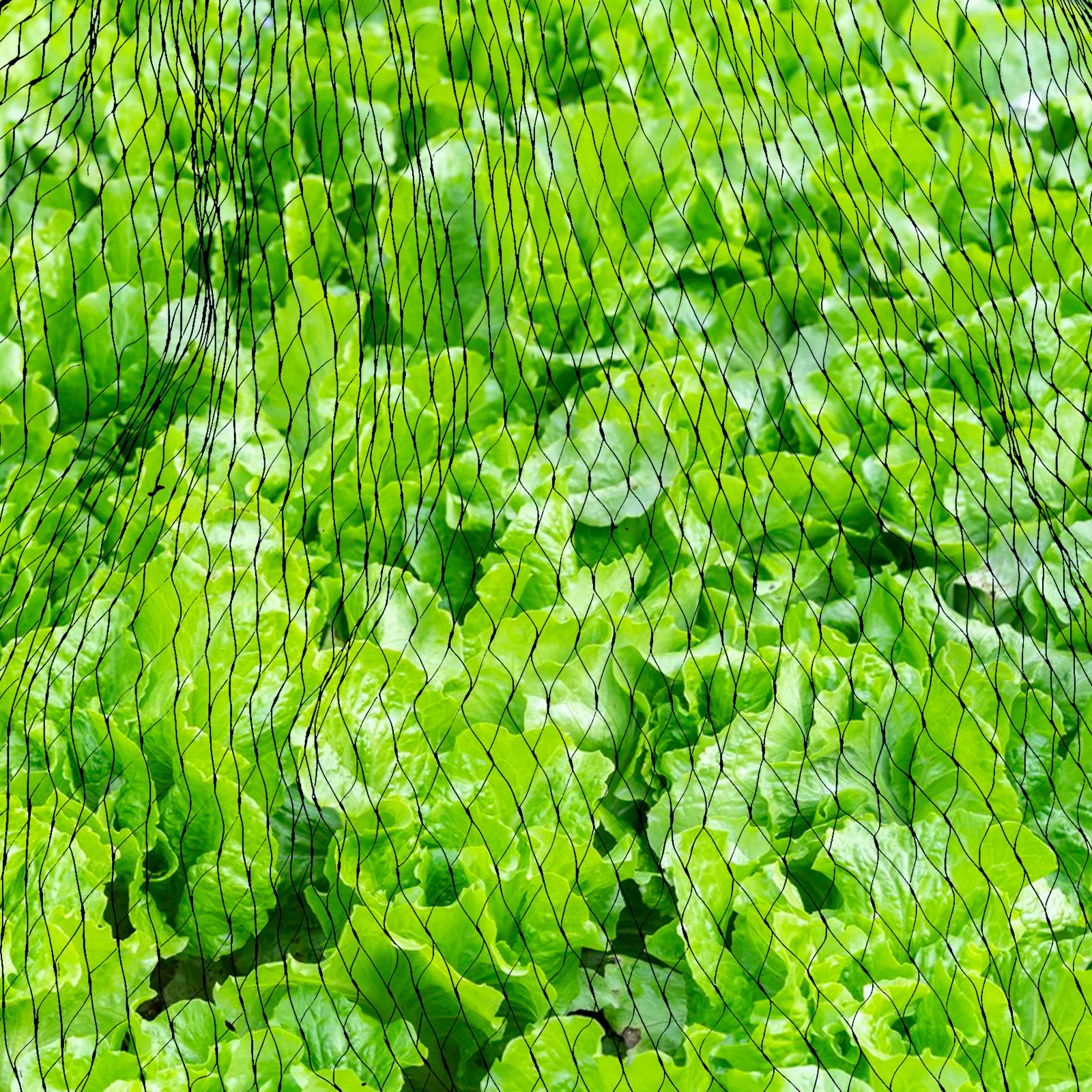

2 Pcs Anti Bird Net Pond Leaf Cover Heavy Duty Mesh Black Polyethylene Reusable Outdoor Garden Fence Netting for Fish