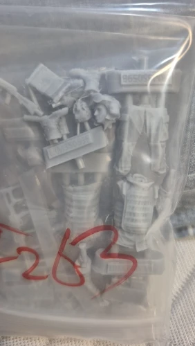 Buyer photo of this resin kit