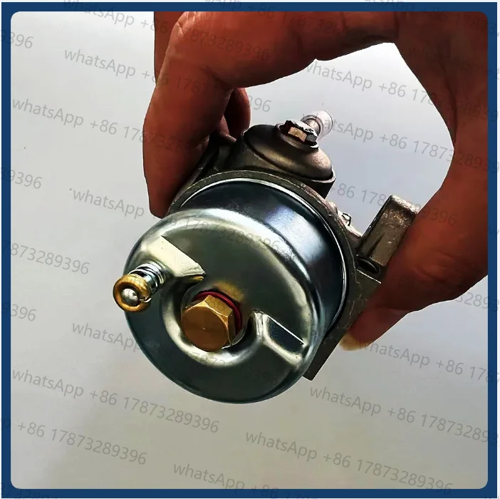 Carburador 3WF-14G para HUASHENG 1E53FP / 3WF-4 CIF 14G 3KW rociador de motor carburador plumero-piezas de soplador misterioso