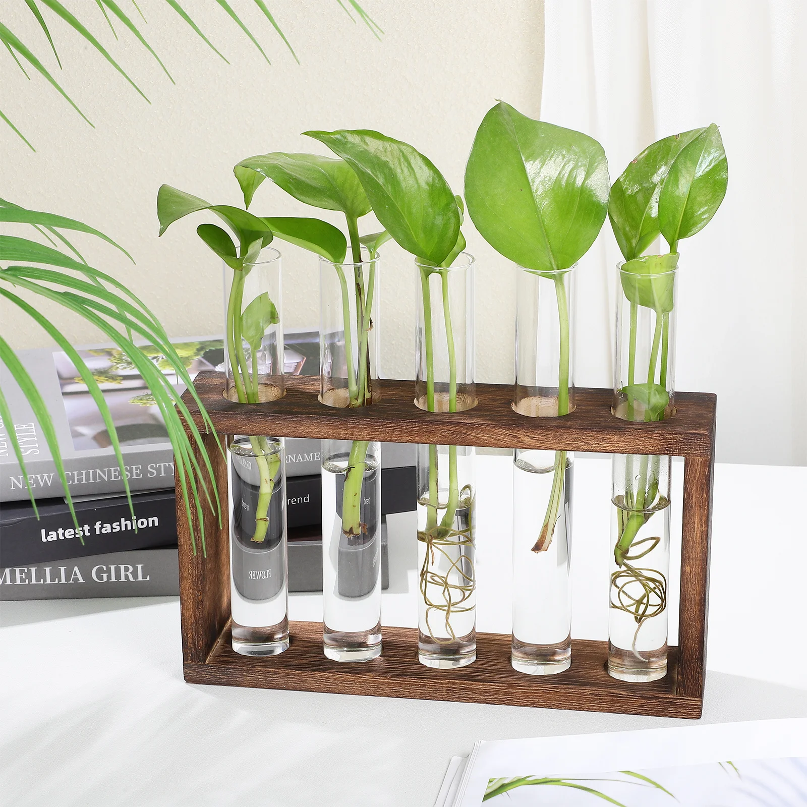 

Plant Terrarium Test Tube Planter Wall Hanging Window Plants Hydroponic Flower Propagating Tubes for Vase Dining Room