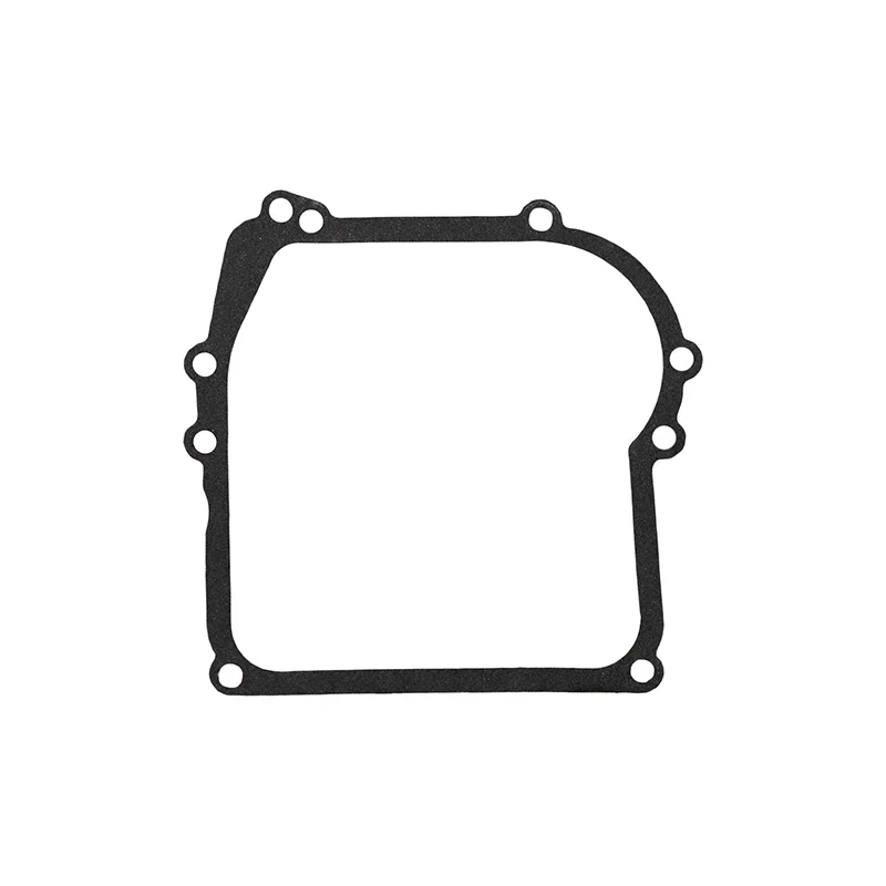 Carbman One Set Complete Gasket Kit Engine Head For Briggs & Stratton 590777 794209 699933 298989