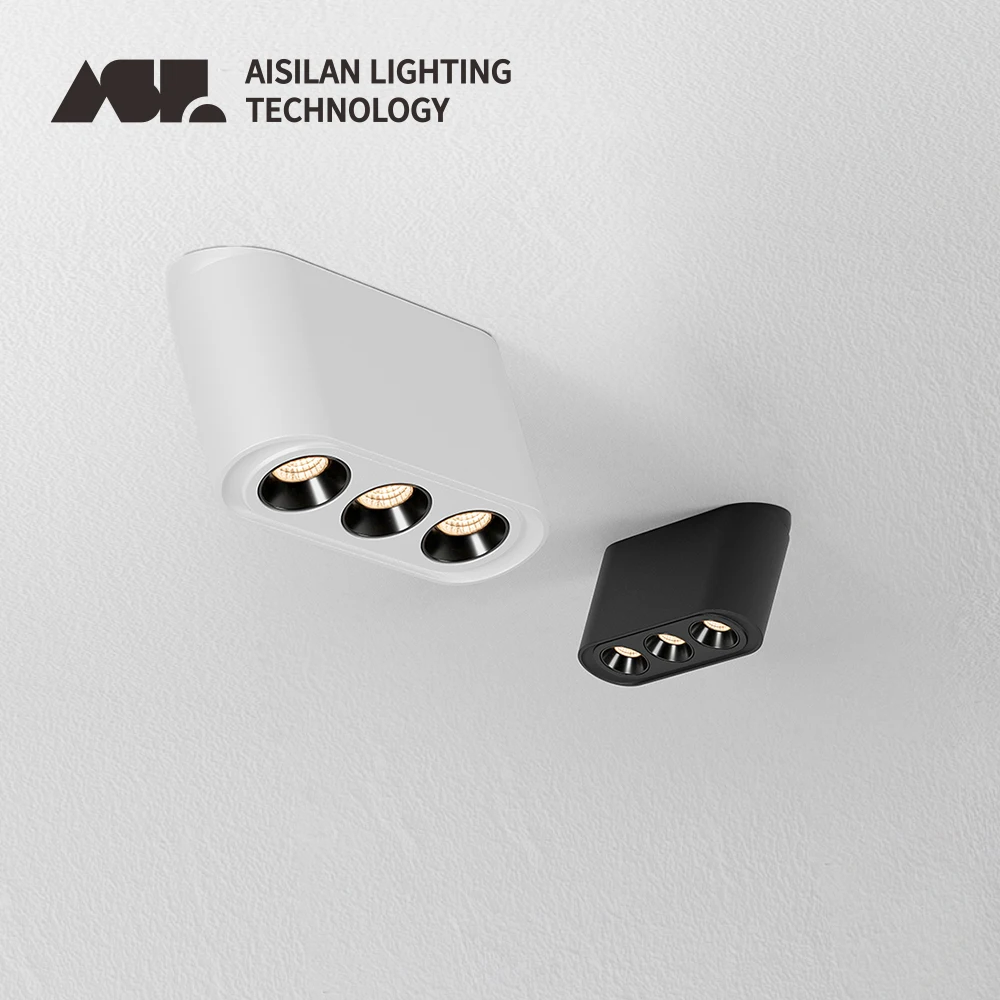 Aisilan LED Ceilling Spotlight Magnetic Surface Mounted Lighting Fixtures with Adjustable Angle 12W COB Chip Spotlight