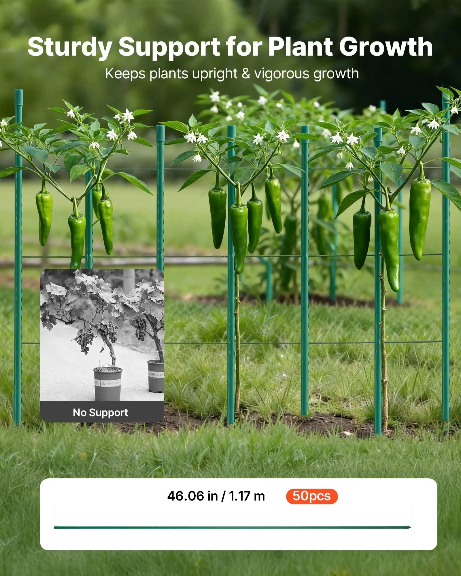

Садовые опоры, 50 шт., 46,06 дюймов, металлические опоры для томатов с пластиковым покрытием, садовые палки для поддержки растений, с заостренным концом и