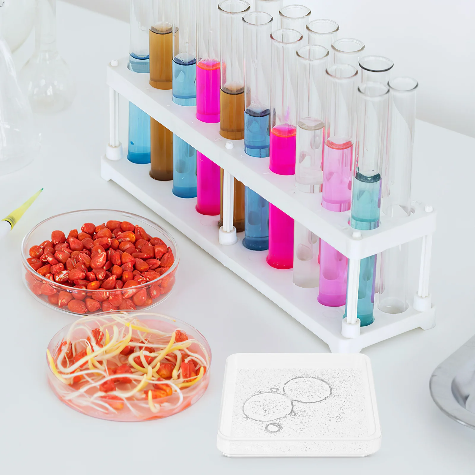 10Sets Square Petri Dish Simple Design High Performance Culture Dish for Biology Experiments Sterilized Plastic Container