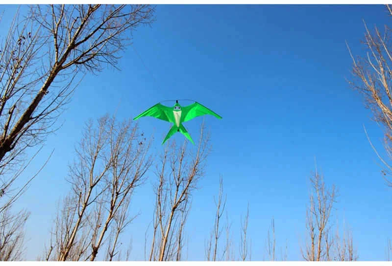 Cerf-volant en forme d'hirondelle pour enfant, jouet en nylon, avec une seule ligne, idéal pour le parapente et le vent, avec torche, livraison gratuite