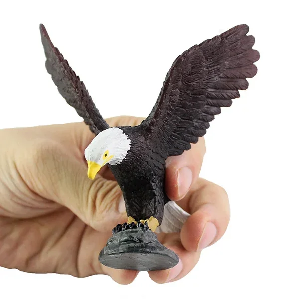 Simulation Eagle model wild animal bird toy plastic children's toys science and Education Cognitive Ornament Gift