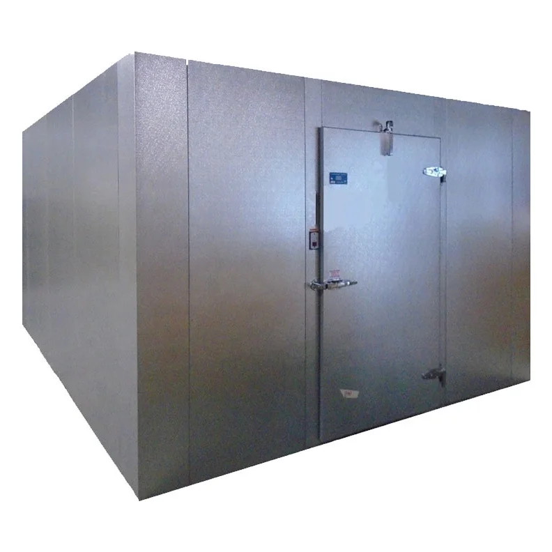 Customized Fresh Fish and Meat Freezer Cold Storage Room