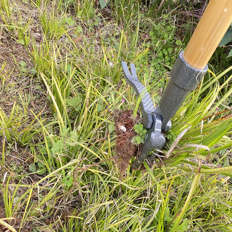 Imagem -06 - Portátil Iron Weed Extrator com Pedal Ferramenta Removível Garra Weeder Removedor de Raiz Ferramentas de Jardim ao ar Livre