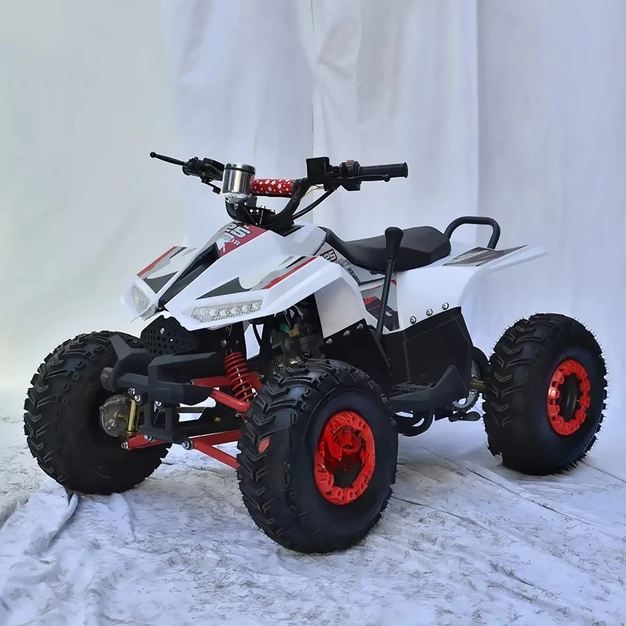 Professional Factory 110cc Aurui Youth Quad With 4 Wheels