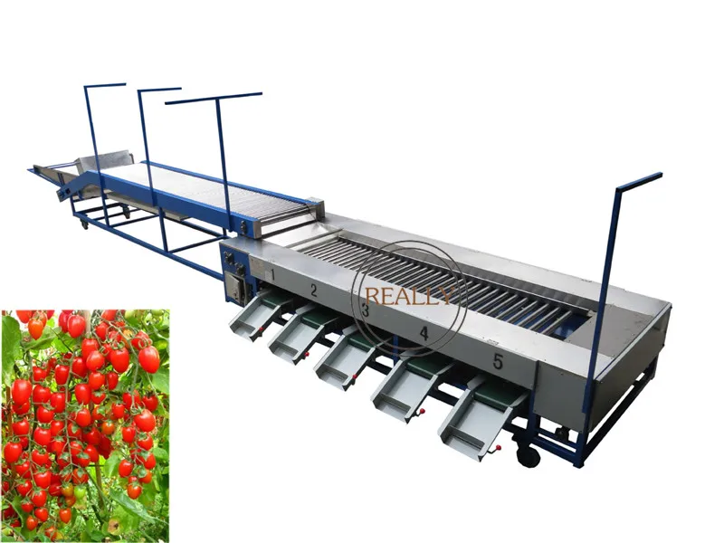 آلة فرز الفاكهة آلة فرز الطماطم الكرزية آلة تصنيف الزعرور