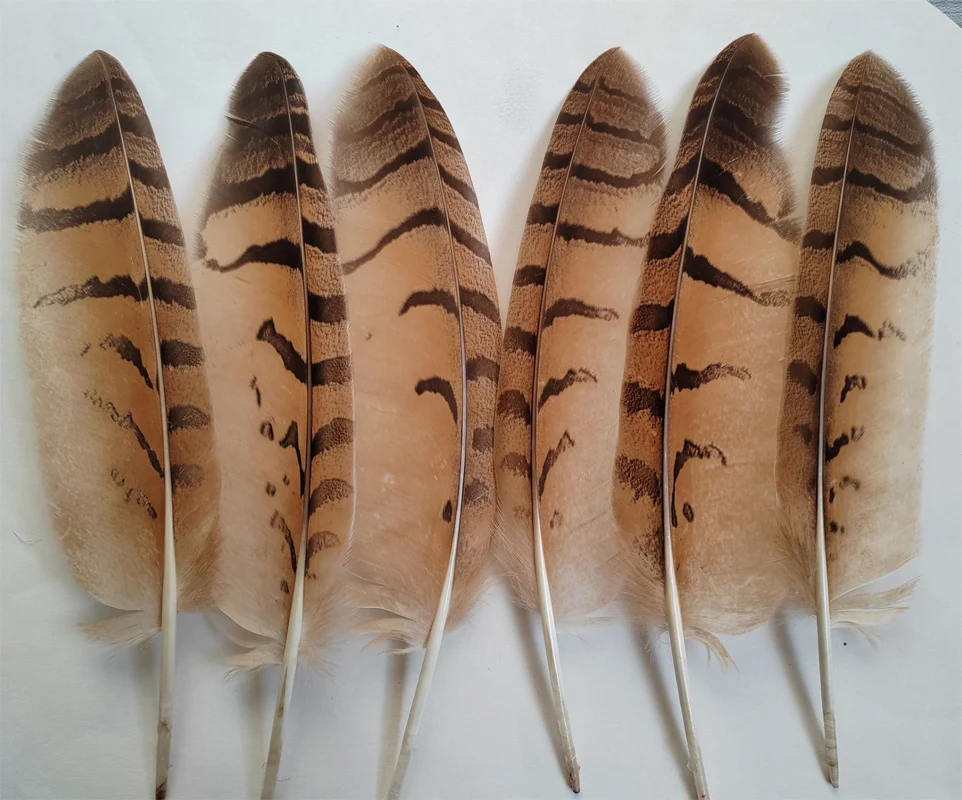 10Pcs/Lot Natural Eagle Feathers for Crafts Plume Headdress Accessories Holiday Decoration Carnival Feather DIY Handicraft Decor