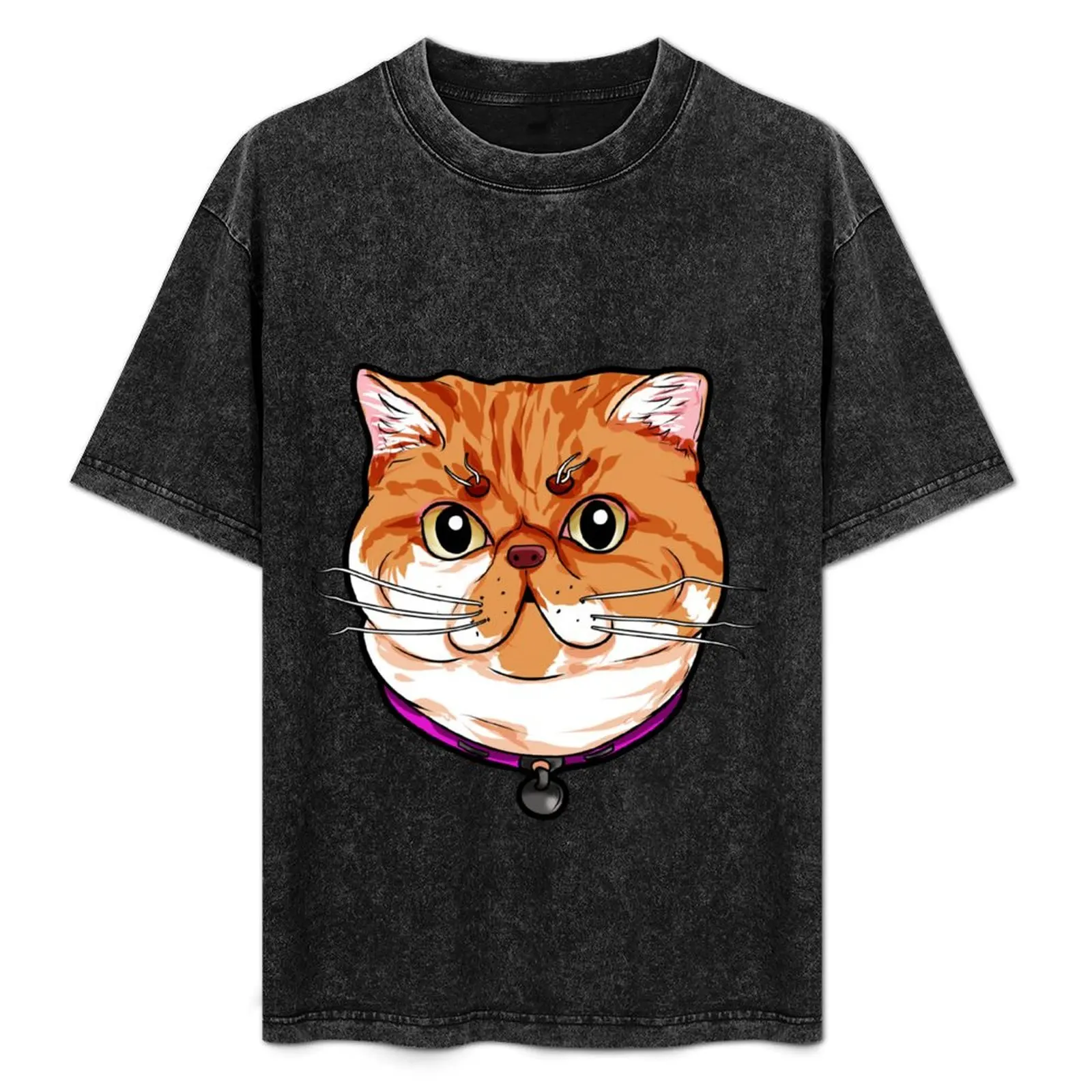 

Exotic Shorthair Cat Cats Face Cute Sweet Cartoon T-Shirt Large Size Breathable Tee