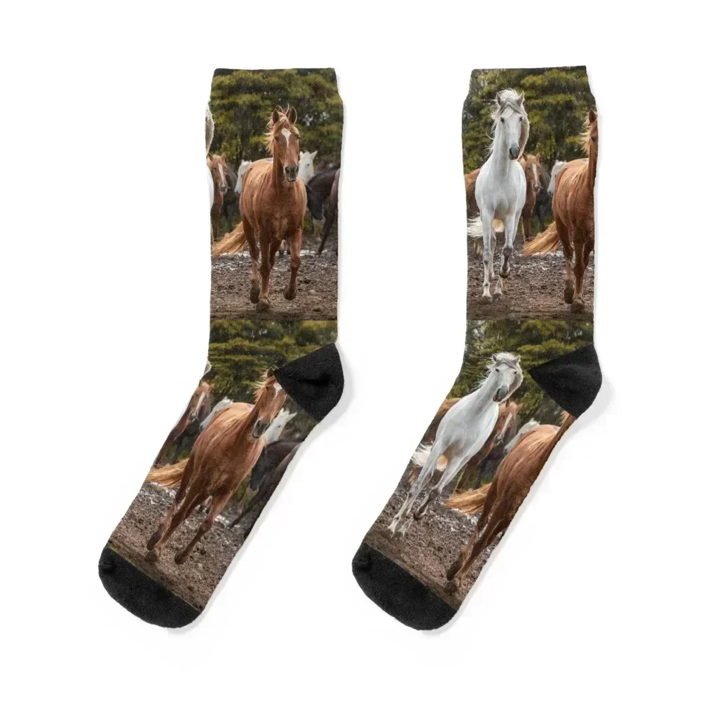 

White and brown fairy tale horses, Lusitano breed, running free outdoors with herd. Socks sports and leisure Male Socks Women's