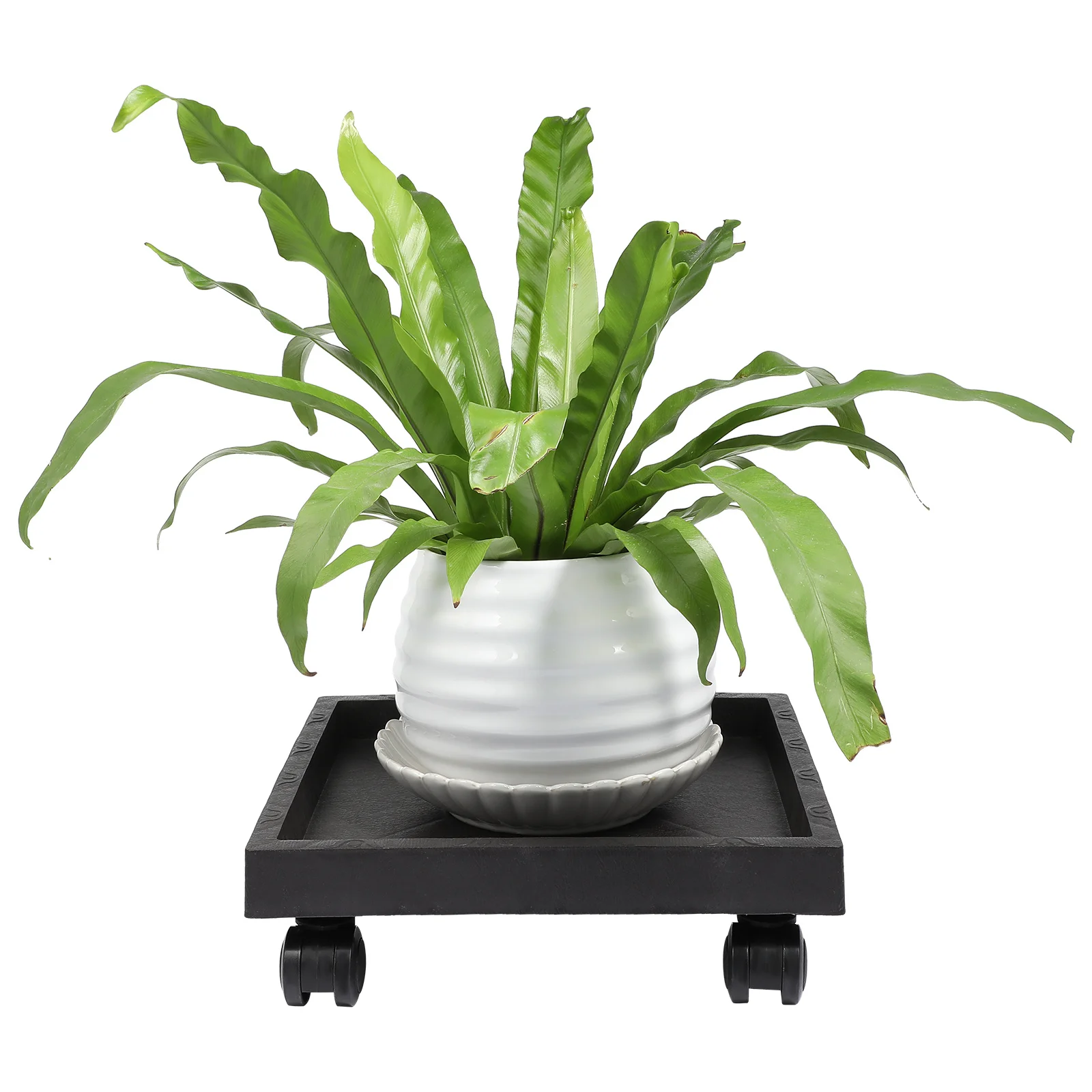 

Heavy Duty Flower Pot Tray Thickened Plastic Plant Stand Indoor Outdoor Movable Planter Caster Pallet Rolling Garden