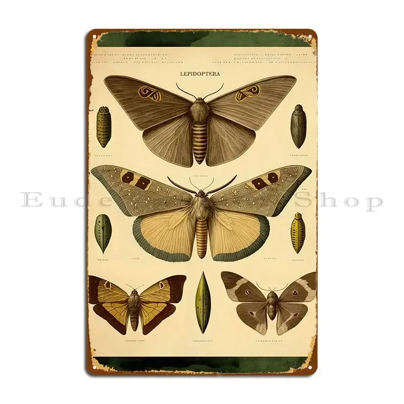 Moth Collection Ii Metallplakette Garage Club Design Wanddekoration Individuelles Blechschild Poster