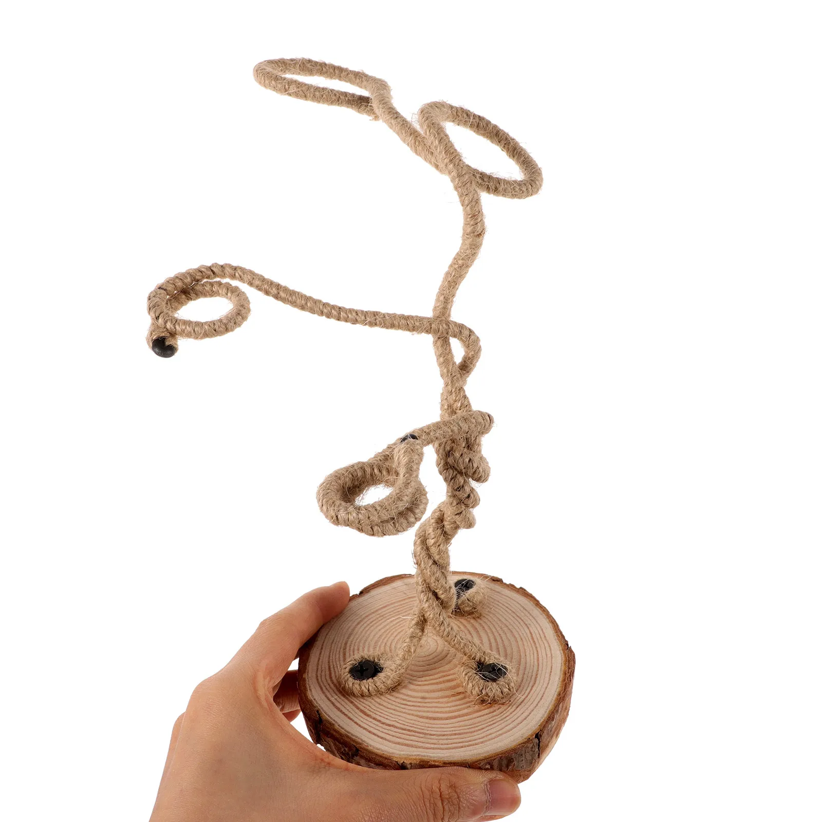 حامل نباتات الهواء خفيف الوزن لطاولة المكتب والمنزل وحامل Tillandsia وحامل الطاولة وحوامل Tillandsia #2