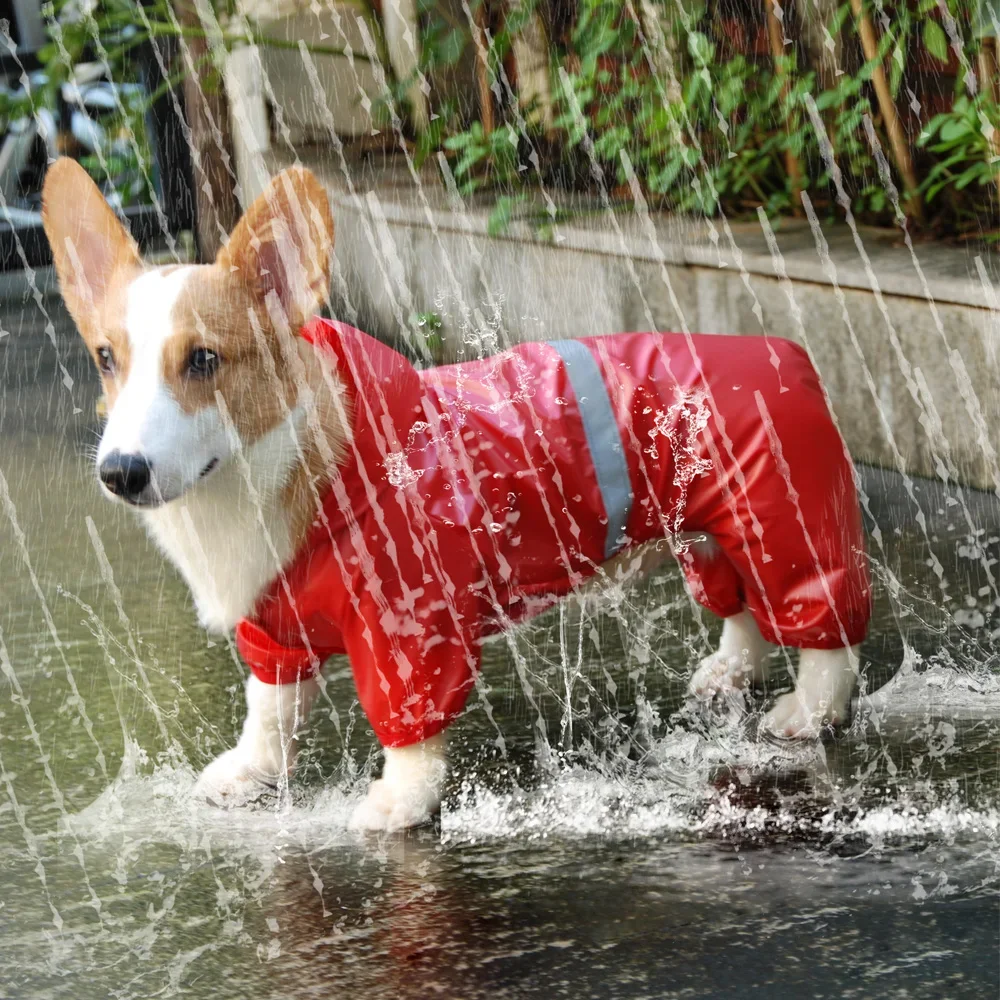 Pet Dog Waterproof …