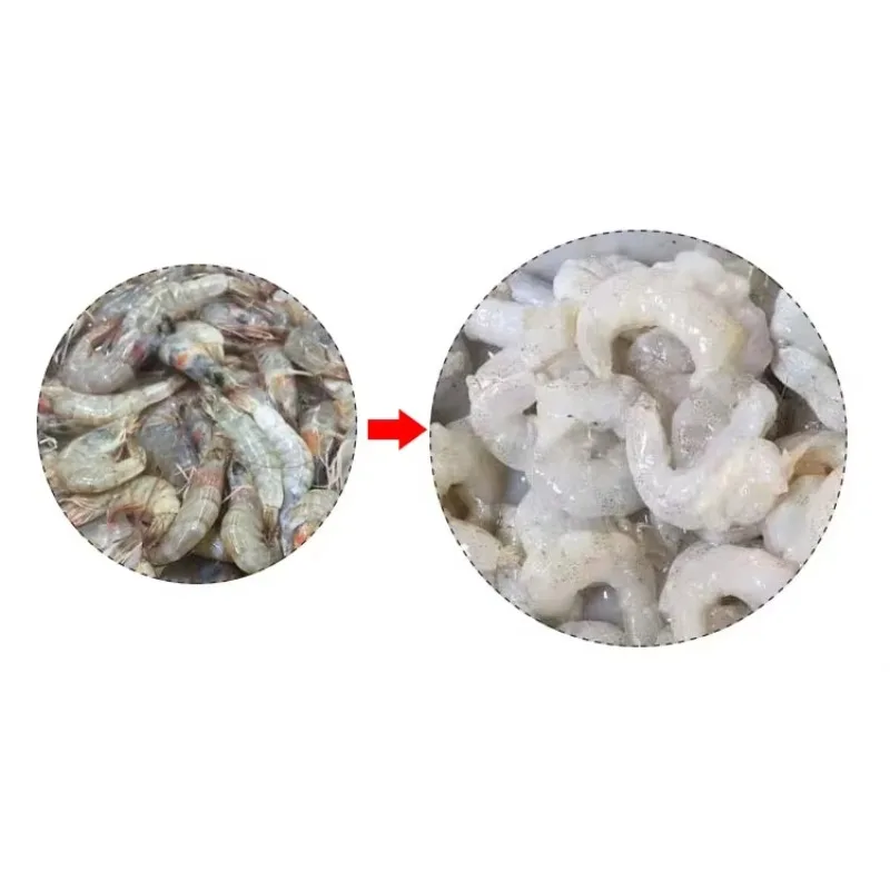Fotografia 7: Nova Máquina Original Deveiner para Descascar Peixes e Camarões com o Preço Mais Baixo