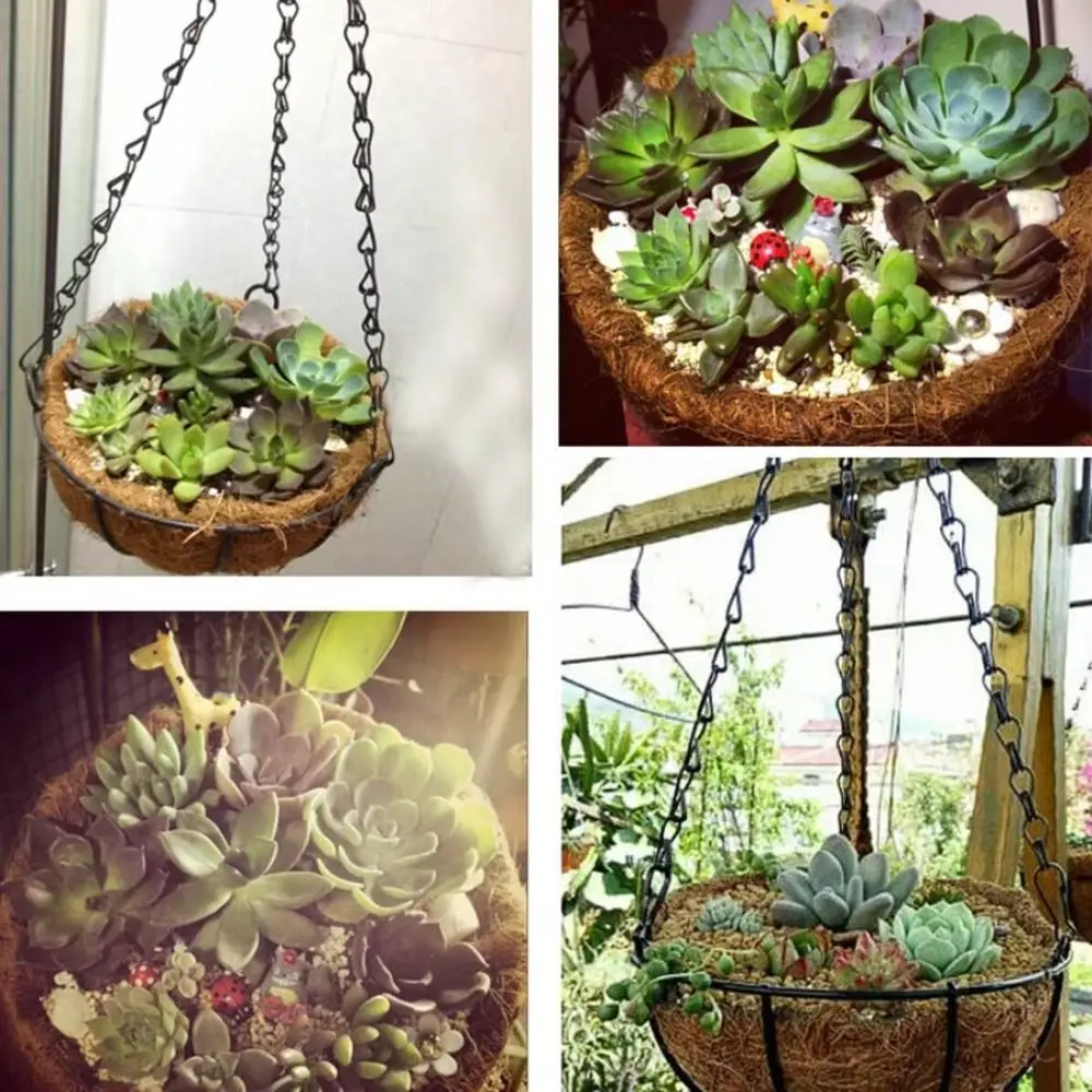 Coconut Brown Round Chain Hanging Basket European Creative Fleshy Green Plant Flowerpot Chlorophytum Comosum Flowerpot Iron