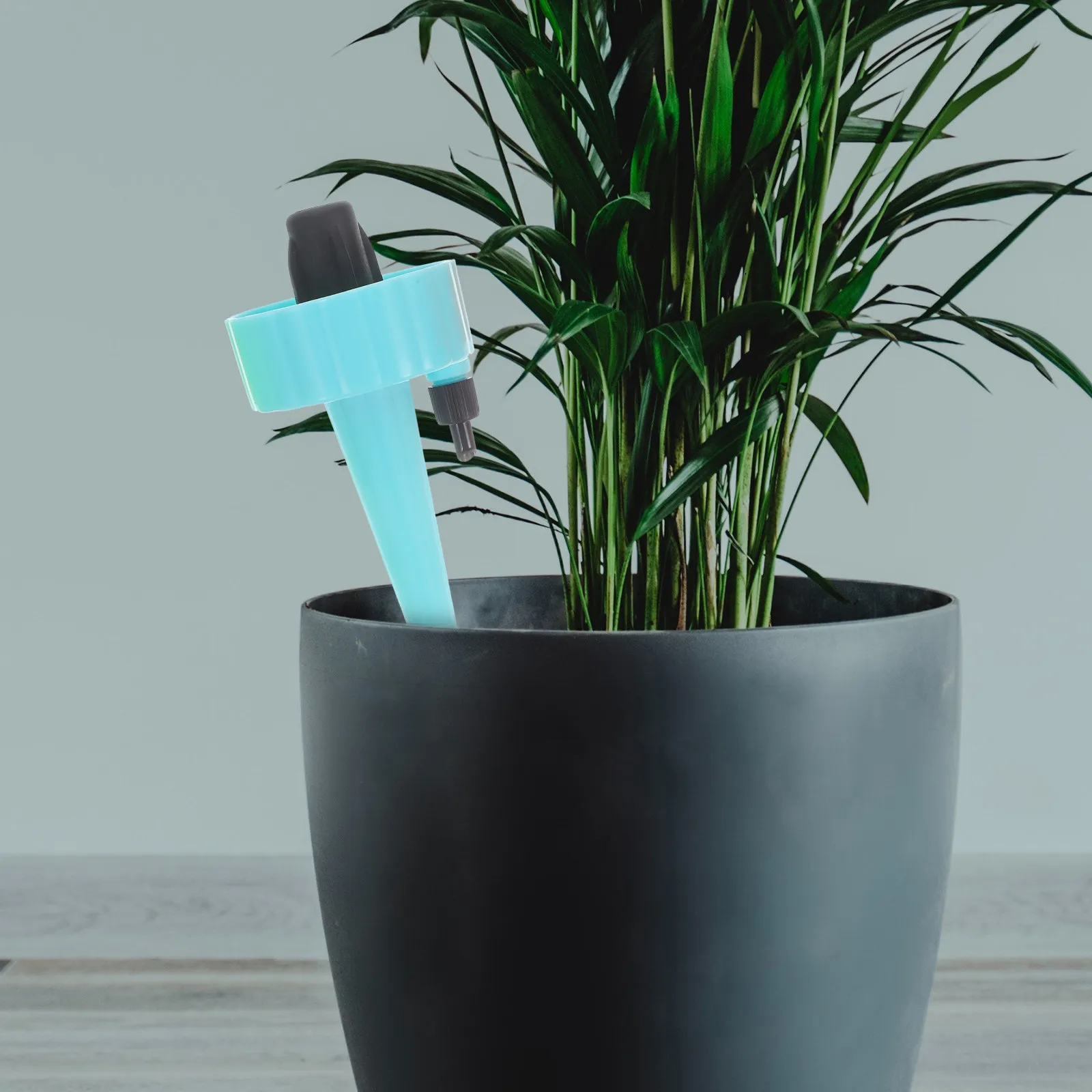 

6Pcs Automatic Plant Watering Globes Slow Drip Spikes for Potted Plants Indoor Outdoor Self Watering Devices Plant Spikes